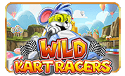 Wild-Kart-Racers.png