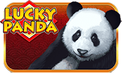 icon-lucky-panda.png